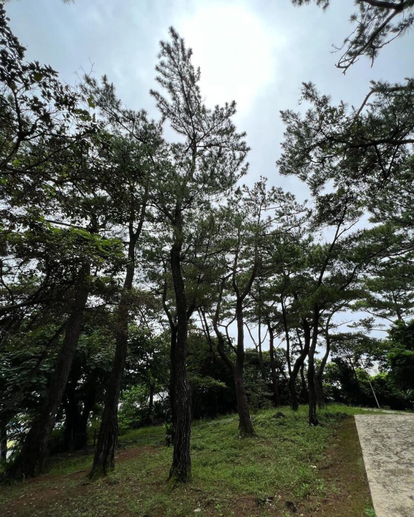 I visited Futenma Shrine ⛩ | Ryujin Accessory